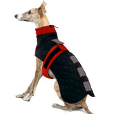 IECOii Greyhound Coat front view demonstrates tailored fit for large sighthounds in cold weather