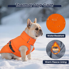 IECOii coat fleece lining adds soft warmth for chilly days.