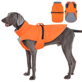 IECOii warm dog coat with leash hole enables secure harness attachment for outdoor walks.