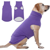 IECOii XXL dog sweater on a large dog, showcasing warm pullover comfort for cozy winter walks.