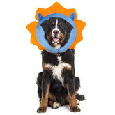 IEUUMLER inflatable dog collar blue EU002 protects post operative wounds during recovery