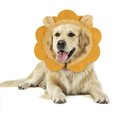 IEUUMLER inflatable recovery dog collar front view showing protective coverage