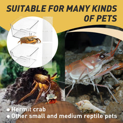 Iffitya hermit-crab-pool-ramp highlights the cuttable climbing ramp for safe exploration.
