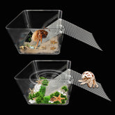 Iffitya hermit-crab-pool-setup provides a compact habitat for comfortable, active play.