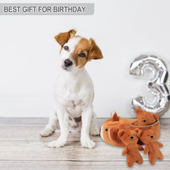 IFOYO hidden-bears inside-dog-toy action shot emphasizes mental stimulation during playtime.