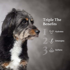 iGroom hydrating dog coat spray applied to damp fur for shine and softness.