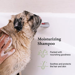 iGroom Pleasia 1 perfume bottle highlights luxe scent for dogs during grooming.