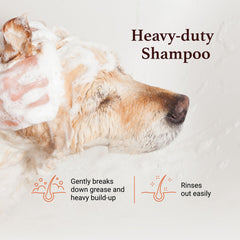 iGroom Squeaky Clean Dog Shampoo coat rinse removing dirt