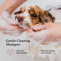 iGroom Tearless Shampoo used for puppy baths delivers gentle care without tears