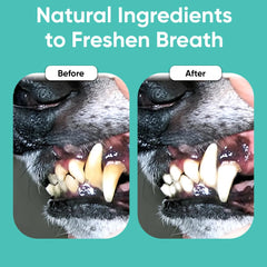 iHeartDogs Clean Teeth powder packaging front shows natural ingredients