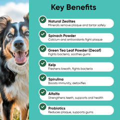 iHeartDogs Clean Teeth powder being scooped for easy daily dosing
