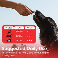 iHeartDogs cranberry-dmannose capsules highlight urinary support for dogs