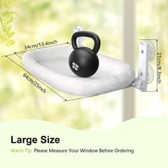 IHMIHM cat window perch installation shows stable suction cup setup