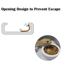ihomeset triangular reptile bowl ceramic closeup highlights smooth nonporous surface for easy cleaning.