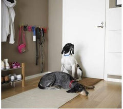 IKEA BÄSTIS black finish complements decor while organizing pet gear.