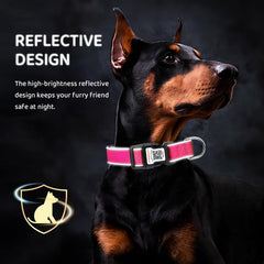 ILFINDYOU durable oxford fabric collar designed for daily wear