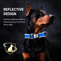 ILFINDYOU durable Oxford fabric collar in blue withstands daily wear.
