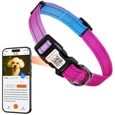 ILFINDYOU personalized dog collar with soft nylon offers comfortable daily wear for small dogs.