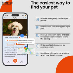 ILFINDYOU reflective dog collar buckle detail shows durable hardware