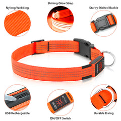 Illumifun LED dog collar close-up highlighting LED glow and color option