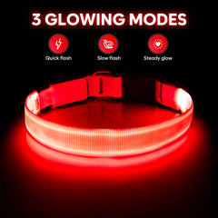 Illumifun LED dog collar rechargeable close-up highlighting USB charging