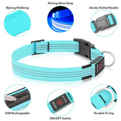 Illumifun USB rechargeable blue LED collar ready for camping adventures