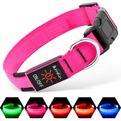 Illumifun LED dog collar is water-resistant for all-weather adventures.