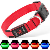 Illumifun Light Up Collar red large front view for high visibility during night walks