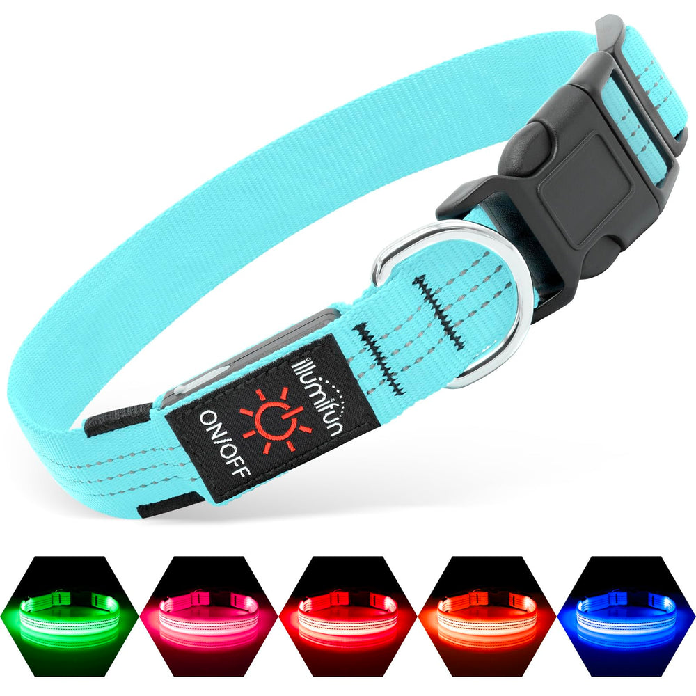Illumifun Light Up Dog Collar blue3 close-up with bright glow for safer night walks