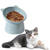 QPOIBSD Tilted Raised Posture for Cat Food Bowl Neck for Protection Anti Vomiting 45 Degree Elevated Slanted Stand Bowls for Cat Tilted Bowl Diameter Approx.13.7cm/5.39in (Baby Blue)