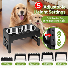 EliteField elevated dog bowls with 58-ounce stainless bowls for durable meals at home