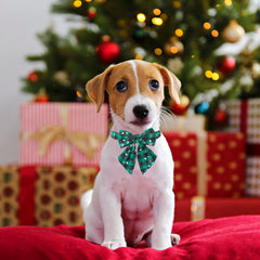 ADOGGYGO 2 Pack Christmas Dog Collar with Bow Tie, Classic Plaid Red Green Dog Collars with Removable Bowtie Christmas Collars for Extra Small Dogs Pets (X-Small)