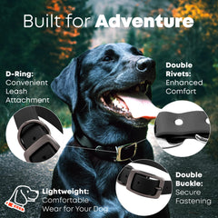 Regal Dog Products Medium Black Waterproof Collar & Leash Set — Heavy-Duty, Adjustable Biothane, 5' Leash