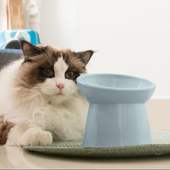 QPOIBSD Tilted Raised Posture for Cat Food Bowl Neck for Protection Anti Vomiting 45 Degree Elevated Slanted Stand Bowls for Cat Tilted Bowl Diameter Approx.13.7cm/5.39in (Baby Blue)