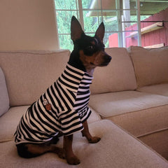 IMDOUBLEDOU turtleneck dog shirt side view - easy pullover design.