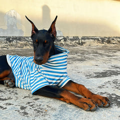IMDOUBLEDOU turtleneck dog shirt blue striped with embroidery, cute daily wear