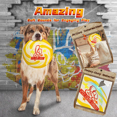 IMMADBUNY Mad Bunny flying-disc ideal for fetch and quick sprints.