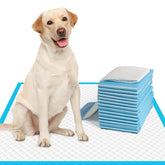 IMMCUTE 28x30 large dog pee pad front view for broad training coverage.