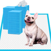 IMMCUTE Puppy Pee Pad packaging shows 22x23-inch size for convenient home setup.