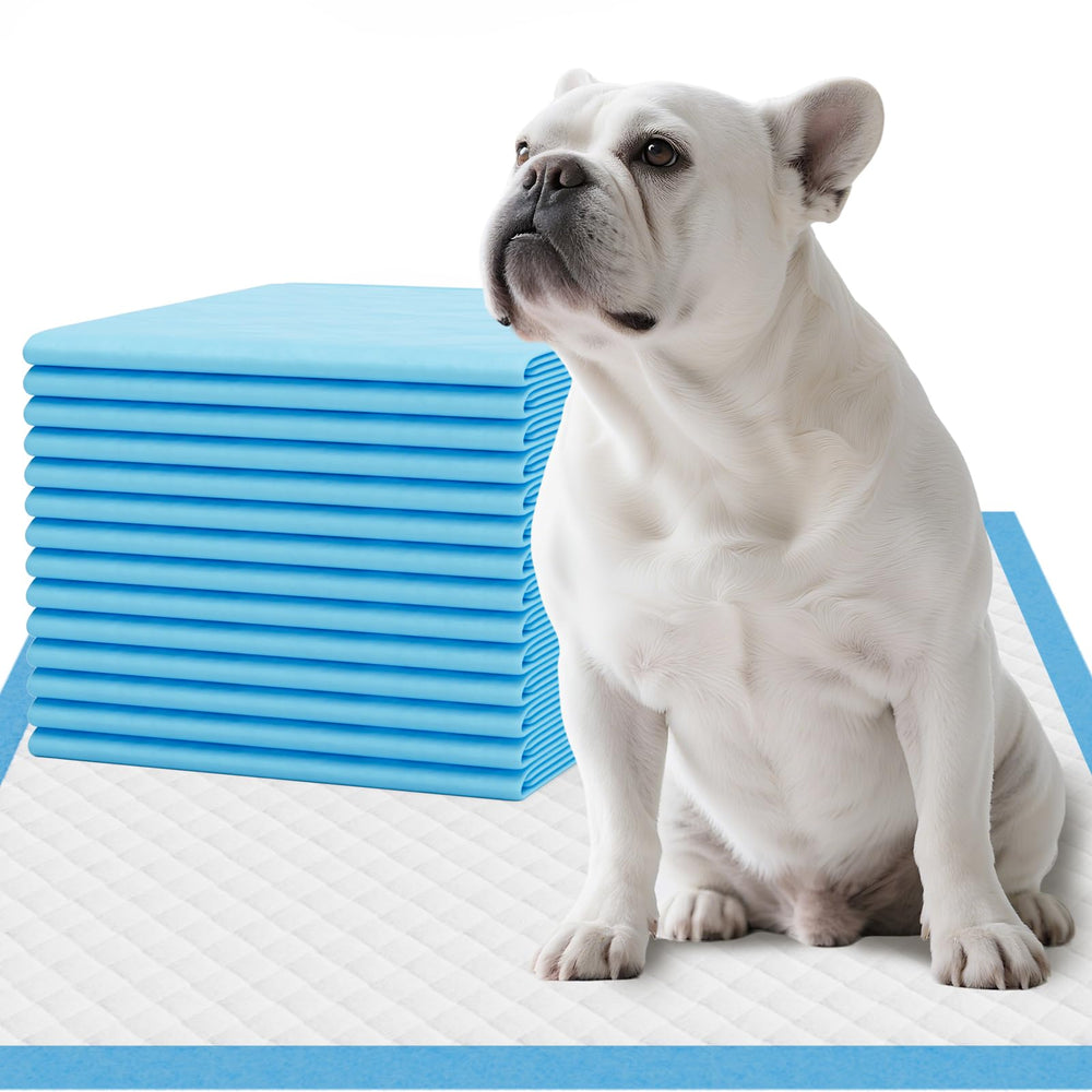IMMCUTE Puppy Pee Pads packaging highlights a 50-count box for easy crate training.