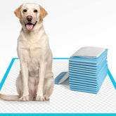IMMCUTE XL dog pee pad 28x34 for indoor training and protection