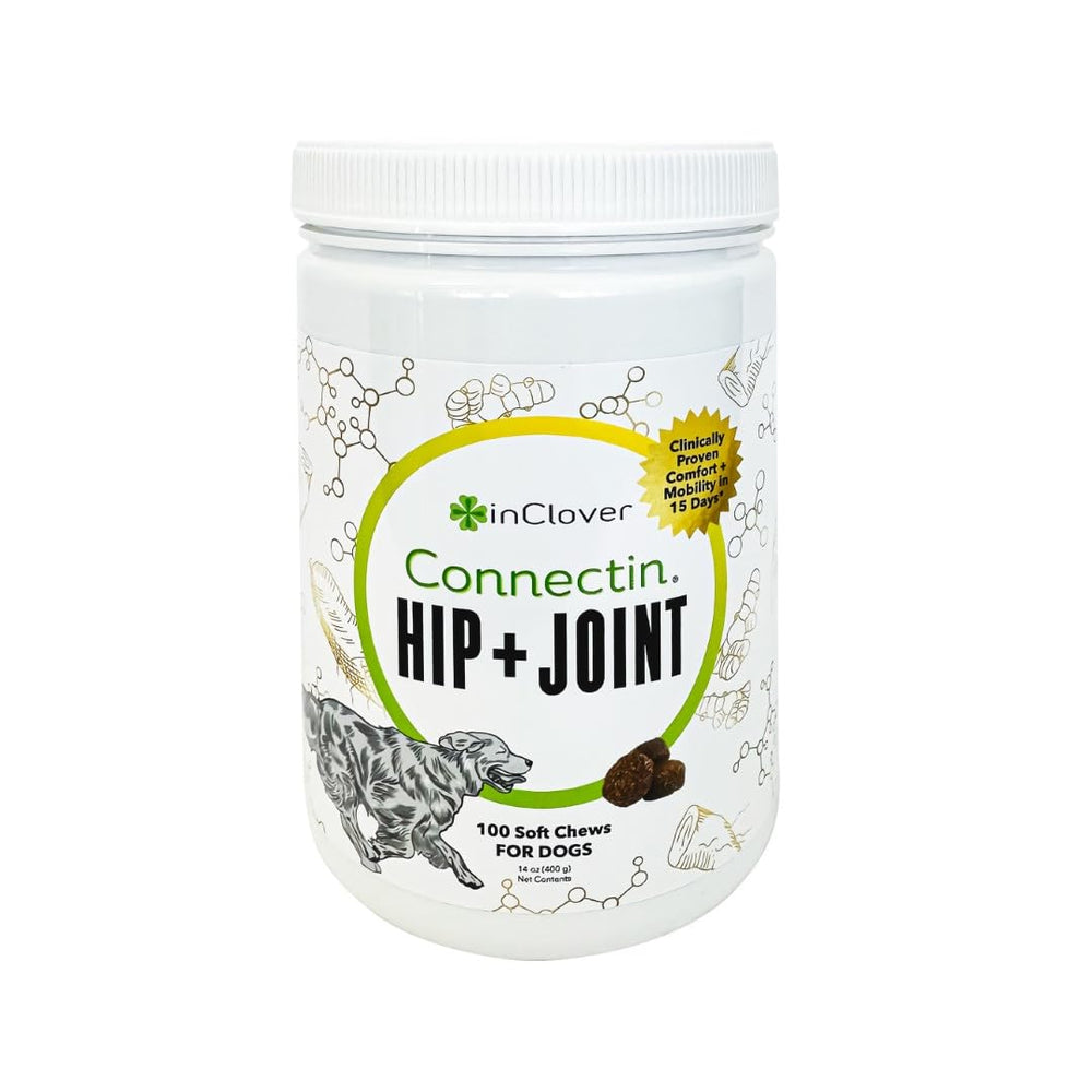 In Clover Connectin soft chews for dogs; supports mobility and daily comfort.