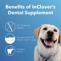 InClover dental powder sprinkled on dog’s meal, supporting fresh breath and easier routine.