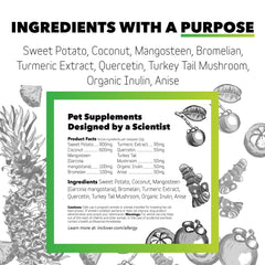 InClover mangosteen-fruit highlights antioxidant botanicals aiding immune balance in pets.