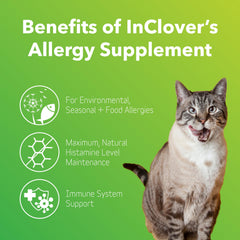 InClover turmeric-powder close-up ready to mix into meals for joint and skin support.