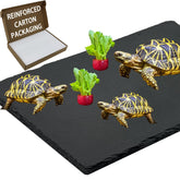 INOSCIND extra-large basking-platform slate tiles support warm basking behavior.