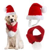 Inscape Data dog Santa hat for festive holiday style.