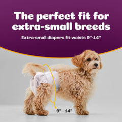Inspire Pet Care bulk value pack showing 50-count supply for ongoing care