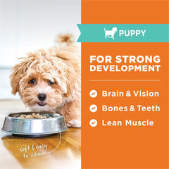 Instinct Raw Meals freeze-dried puppy chicken closeup emphasizes natural DHA for brain development.