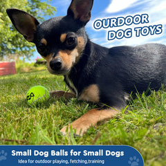 INSUM 12-pack colorful balls visible in grass for fetch training